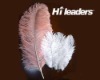 Wholesale Dyed ostrich feather