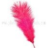 Wholesale wedding ostrich wing, wedding ostrich wing supply, cheap wedding ostrich wing