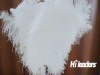 Wholesale Decorative dyed ostrich feather