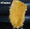 Wholesale Decorative Dyed Ostrich Feather