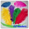 Wholesale Decorative dyed ostrich feather