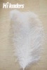 Wholesale Decorative dyed Ostrich Feather