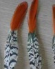 Wholesale pheasant feather