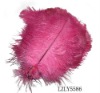 Wholesale feather