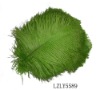Wholesale feather