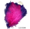 Wholesale feather