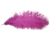 Wholesale feather