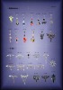 Wholesale steel navel with dangle