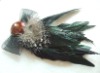 pretty Brooch