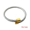 Wholesale 2011 fashion alloy bangle