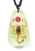 Wholesale wholesale jewelry--Real insects jewelry, scorpion, glowing in dark