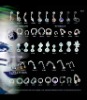 Wholesale Body Jewelry,Tattoo body jewelry,Tattoo Body Piercing Jewelry