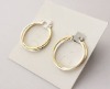 Wholesale gold plated earring