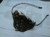 party headband,festival headwear,fashion products,headwear
