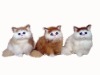 Wholesale toy animal (toy cat)