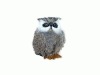owl toy