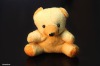 Teddy Bear Plush Toy