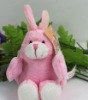 cute rabbit plush toy(TT007)