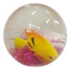 Wholesale Fish bounce ball