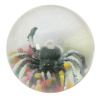 Wholesale Spider bounce ball