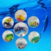 Wholesale crystal bounce ball