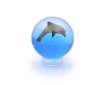 3D dolphin bouncing ball