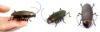 Wholesale New Micro Robotic Creatures - Cockroach, Toothbrush Car, Auto-Run Bugs, Toys