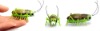 Wholesale Toothbrush Auto-Run Mini Toy Insect - Cricket, Micro-Robotics Bugs