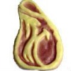 pet toys dog