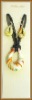Wholesale murano glass jewelry set