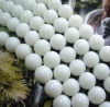 Wholesale crystal beads accessories