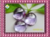 Wholesale high quality cabochon oval shape cz gems