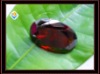 oval garnet cz gems
