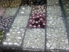 Wholesale optional shape shell pearl beads