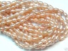 Wholesale very cheap freshwater pearl