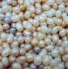 Wholesale Cheap cultured freshwater loose drop pearl