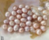 Wholesale freshwater pearl