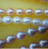 Wholesale Oval pearl!!