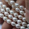 Wholesale Shell Pearl beads!!