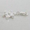 Wholesale Charm beads(TMS0005)