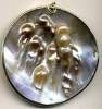 Wholesale YC-819-AGR(or ASR)Plating Natural shell jewelry