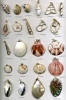 Wholesale Trumpet Shell Jewelry