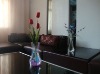 Wholesale Reusable and recycable plastic foldable vase