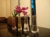 Wholesale Recycable magic vase