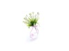 PET beautiful plastic floding vase