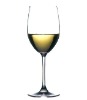 Bordeaux red wine glass