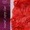Wholesale sexy panties (W0015), thongs, briefs