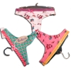 Wholesale Ladies' underwear(ladies' lingerie, women's shorts,thongs,women's panty )