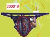 Wholesale girls lingerie stock underwear thong panties woman underpants