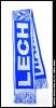 Wholesale scarf for fan